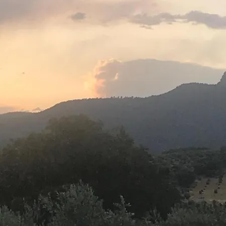 Cortijo La Ajedrea Apartamento Siles
